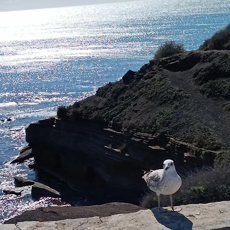 Apartment Au Cap ! Agde